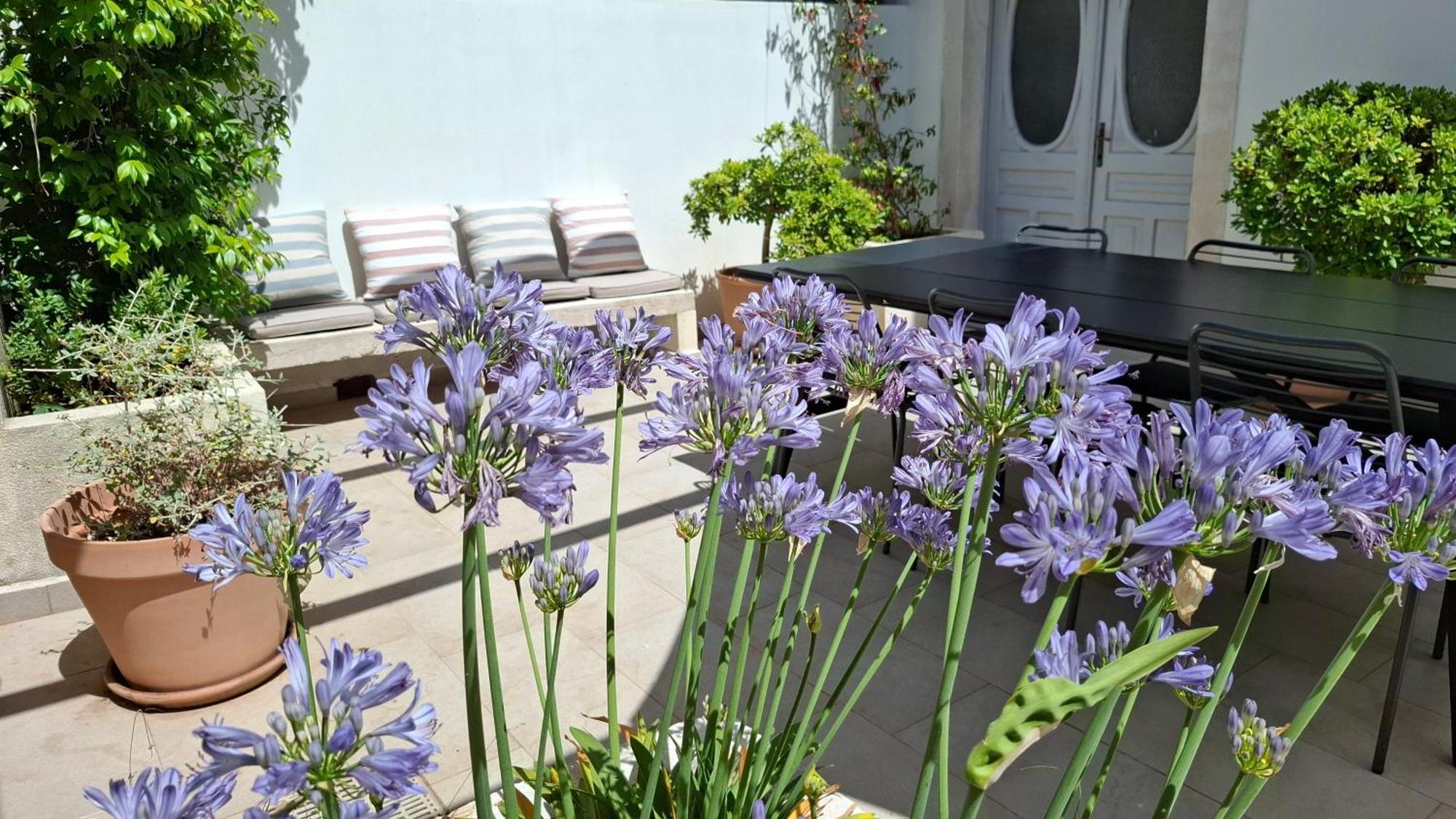 Villa Mira With A Heated Pool And A Sea View Božava Εξωτερικό φωτογραφία